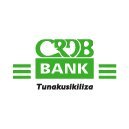 CRDB Bank PLC's profile picture