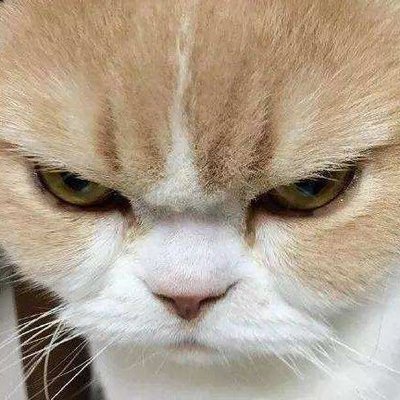 玲老板's profile picture