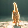 GiGiGi profil fotoğrafı