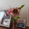 りっちゃん profil fotoğrafı