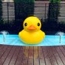 まろん profil fotoğrafı