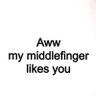 Nick Noyb's profile picture