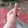 Profilbild von Nire17