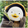 노잼 profil fotoğrafı