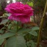Senthilkumar FYN's profile picture