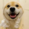 liang.crypto's profile picture