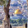 Profilbild von حسين صيام