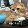 มตส. 的头像