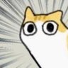QAQ's profile picture