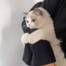 🥨 profil fotoğrafı