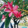 FLbeaches profil fotoğrafı