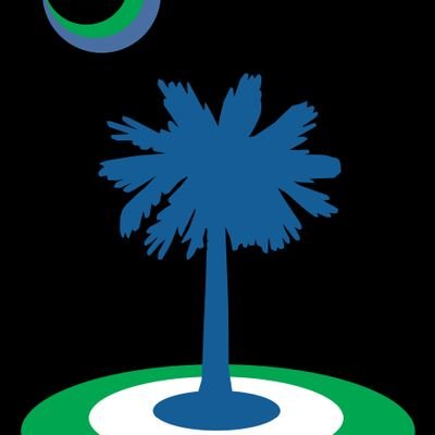 palmettocurling's profile picture