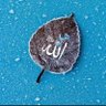 MO's profile picture
