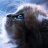 Profilbild von birisi555