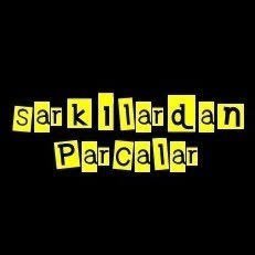 SarkiParcalari's profile picture