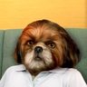 Cardu's profile picture