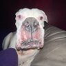 Cory Lenard's profile picture