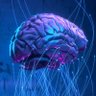 Reliable Brain 🇺🇸's profile picture