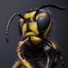the wasp's profile picture
