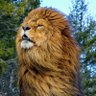 Salah Bounab profil fotoğrafı