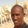محمد بخيت سوداني's profile picture