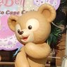 とも's profile picture