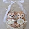 Profilbild von milkty∞