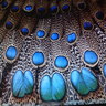 Фото профиля helen smith