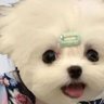 ใครจะเก่งเท่าเเม่มึง profil fotoğrafı