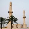 SayedAli's profile picture