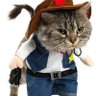 ふて猫's profile picture