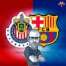 Manuel Nogueira's profile picture