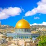 ابوناصر الفياضي 的头像