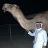 عزيز الرشيدي's profile picture