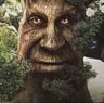 Profilbild von maefiosii
