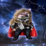 Steve Wilke's profile picture