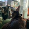 Hadley 🍂 profil fotoğrafı
