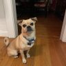 OfBoogie's profile picture