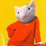Karthikeyan S's profile picture