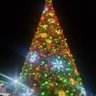 stuard 的头像