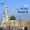 Фото профиля shaher nour