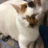 みよん profil fotoğrafı