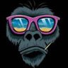 Mr. Gorilla 的头像