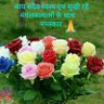 vjoshi57@gmail.com 的头像