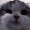 Profilbild von え