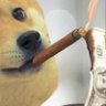 cryptolines's profile picture