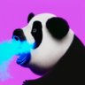Profilbild von 少来这一套