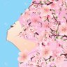 Kira's profile picture