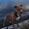 Jayd76 Page's profile picture