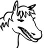 Profilbild von serpy